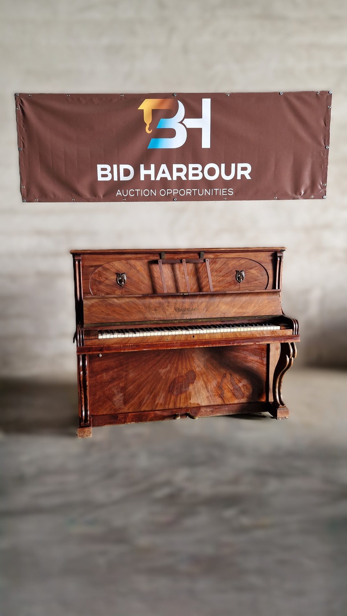 Leil&atilde;o Velharias